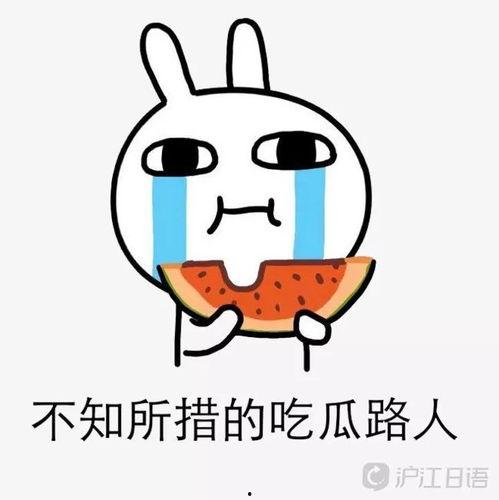 娱乐吃瓜酱读书,揭秘娱乐圈背后的故事与真相